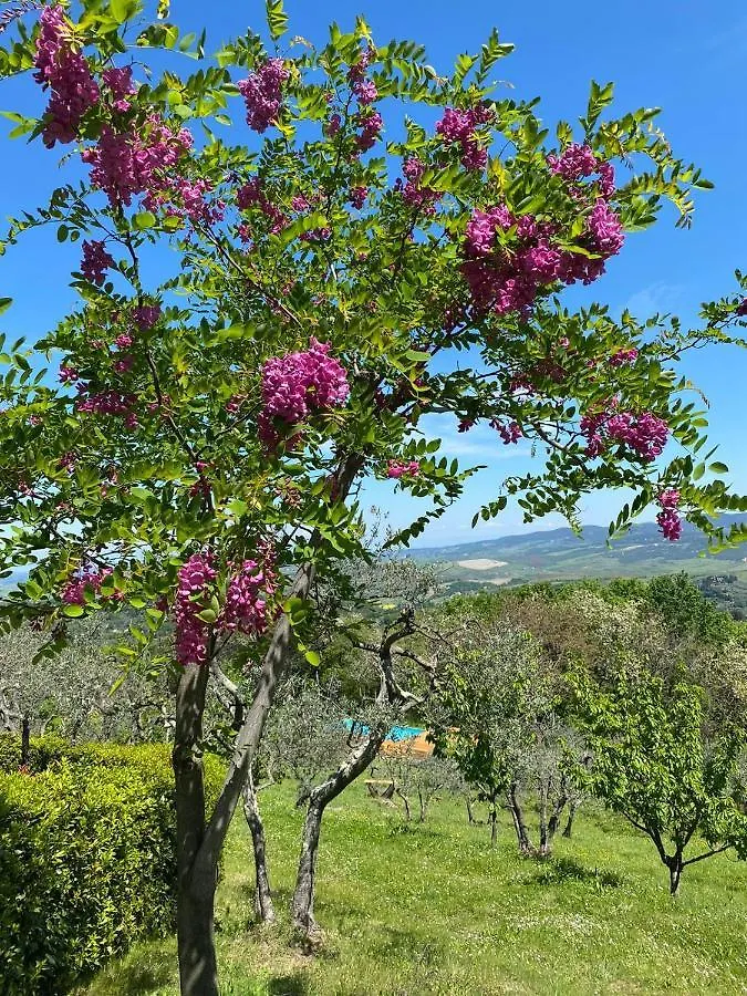 Casa Di Coraggio Villa Volterra